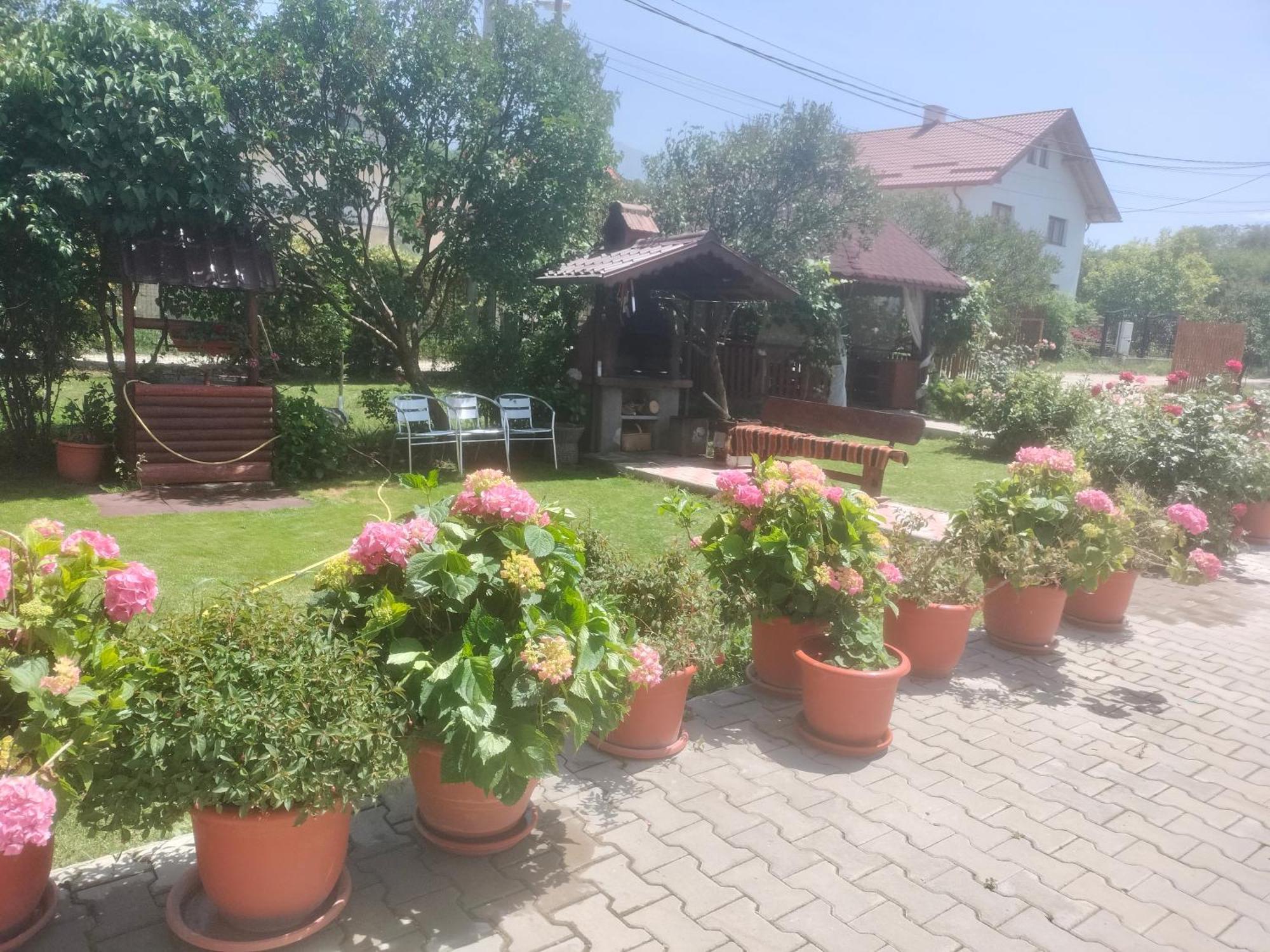 Casa Cornelia Hotel บราน ภายนอก รูปภาพ